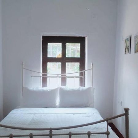 A Quaint Cottage With Rajah'S Seat View. Мадикери Екстериор снимка